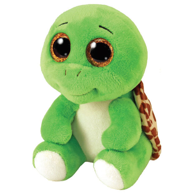Turbo Turtle Green Regula