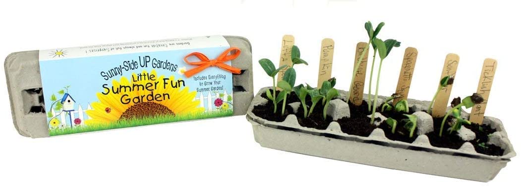 Little Summer Fun Garden