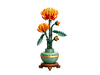 Chrysanthemum Flower