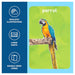 First 100 Animals Flash Cards