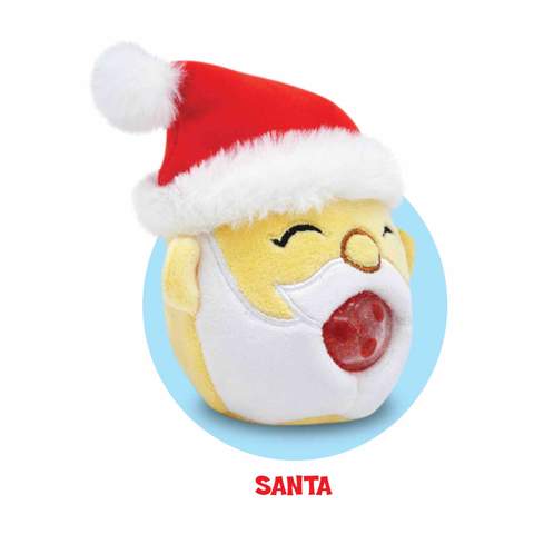 Pbj Christmas Santa