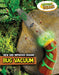 Bug Vacuum